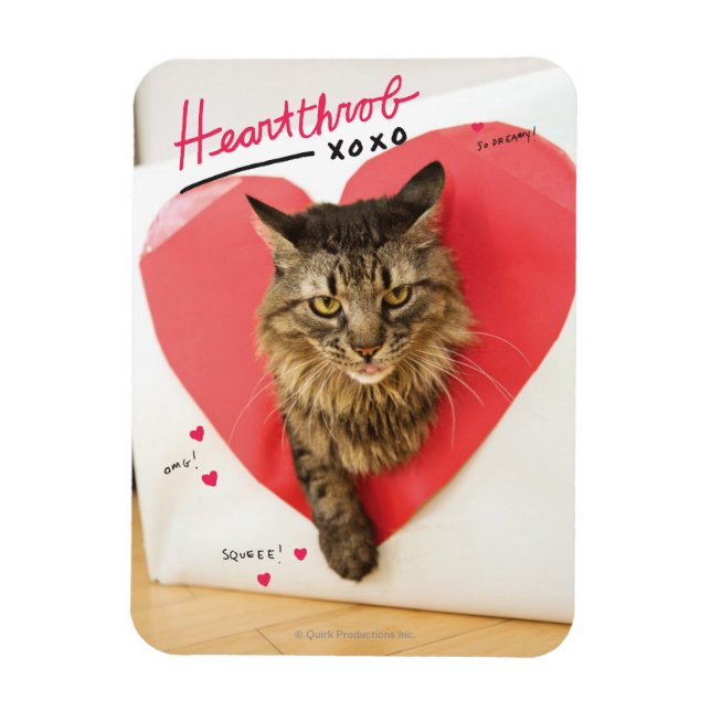 Heartthrob Cat Magnet (Vertical)
