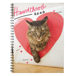 Heartthrob Cat Spiral Notebook