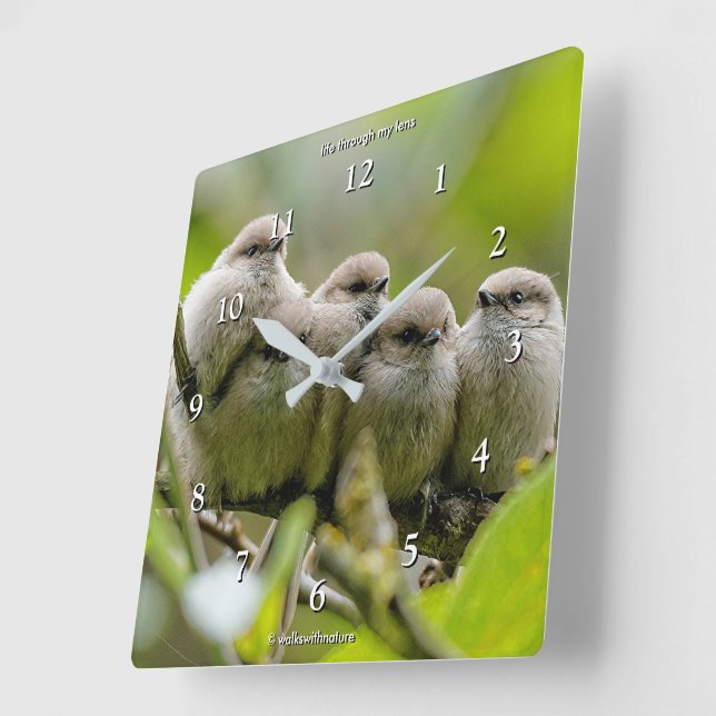Heartwarming Cute Bushtits Songbirds Family Photo Square Wall Clock (Angle)