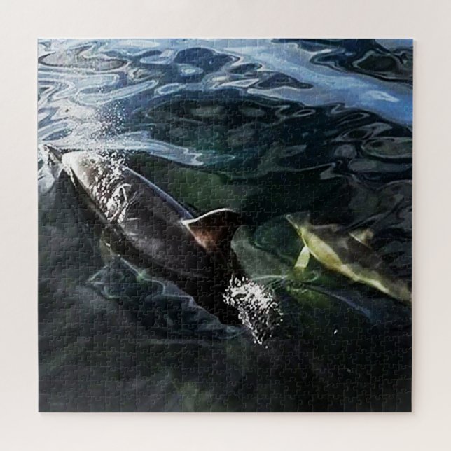 Heartwarming Dolphin Family Mother and Calf Ocean  Jigsaw Puzzle (Horizontal)