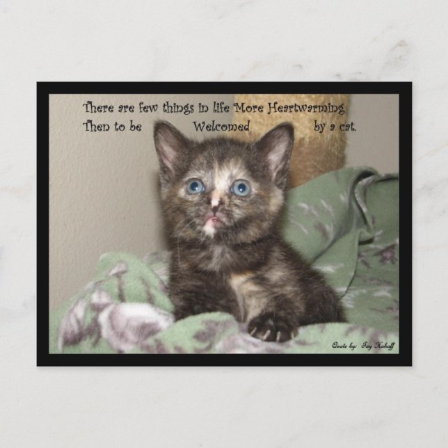 Heartwarming Postcard (Front)