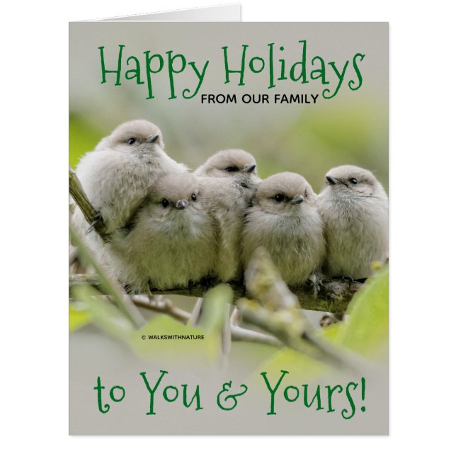 Heartwarming Songbirds Family Christmas Holiday (Front)