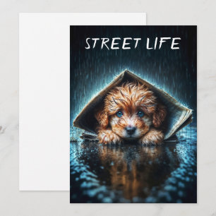 Heartwarming wet canine in stormy weather invitation