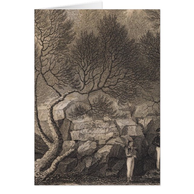 Heath forest, Madeira (Front)