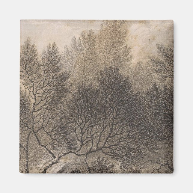 Heath forest, Madeira Magnet (Front)