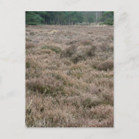 Heath