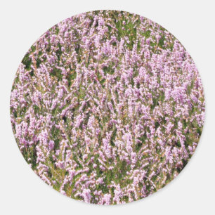 Heather Flowers Beautiful View Classic Round Sticker
