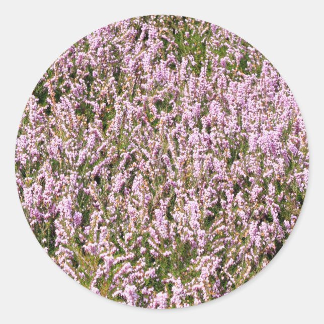 Heather Flowers Beautiful View Classic Round Sticker (Front)