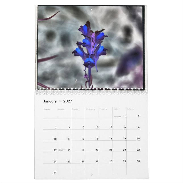 Heather Harty Photography Calendar (Jan 2027)