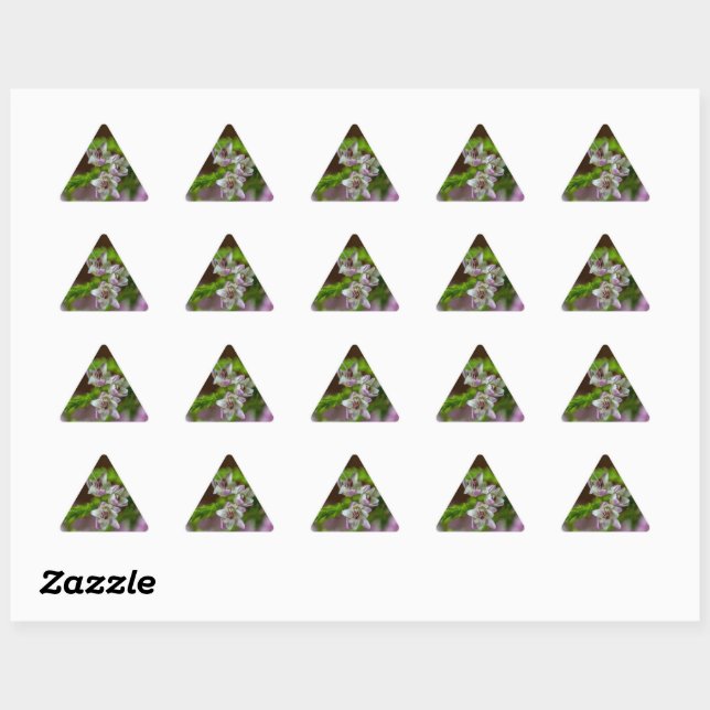 Heather Spring flower evergreen bloom purple white Triangle Sticker (Sheet)