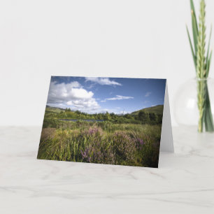 Heathland • Greeting Card