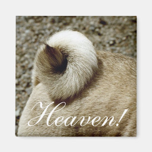 Heaven! Magnet