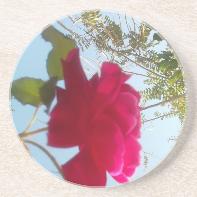 Heavenly Bloom: A Rose Against the Sky Coaster (Front)