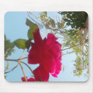 Heavenly Bloom: A Rose Against the Sky Mouse Pad