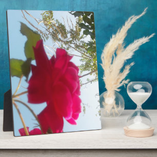 Heavenly Bloom: A Rose Against the Sky Plaque