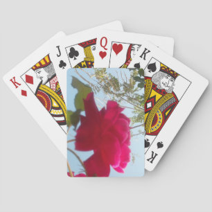 Heavenly Bloom: A Rose Against the Sky Playing Cards