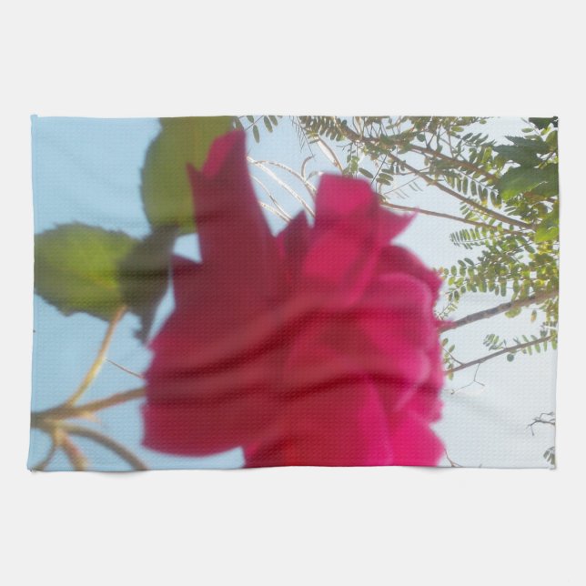 Heavenly Bloom: A Rose Against the Sky Tea Towel (Horizontal)