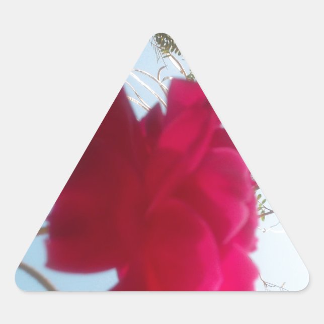 Heavenly Bloom: A Rose Against the Sky Triangle Sticker (Front)
