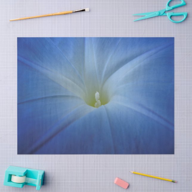 Heavenly Blue Morning Glory Close-Up Photo Tissue Paper (Craft)