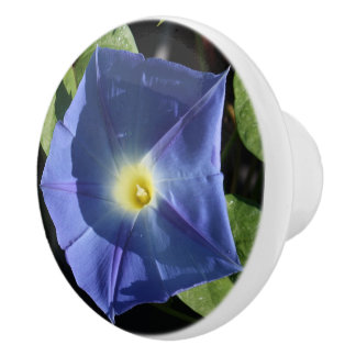Heavenly Blue Morning Glory Kitchen Knobs