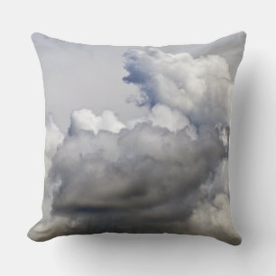 Heavenly Creation Cushion