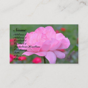 Heavenly Pink Rose Flower Business Card