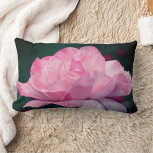 Heavenly Pink Rose Flower Lumbar Cushion