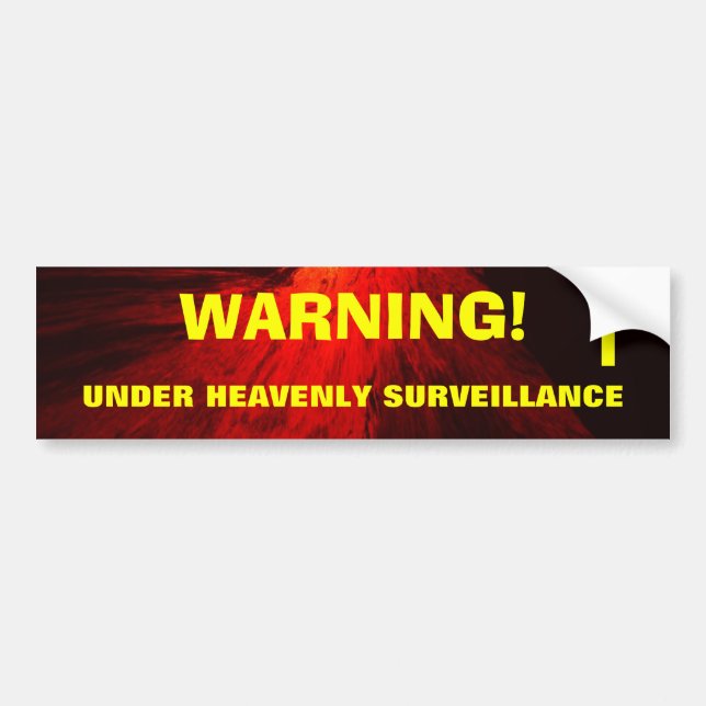 HEAVENLY SURVEILLANCE Bumper Sticker (Front)