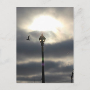 Heaven's  Door Postcard