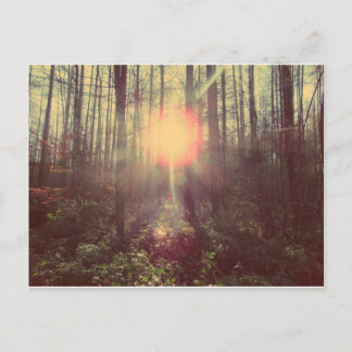 Heaven's Light Postcard