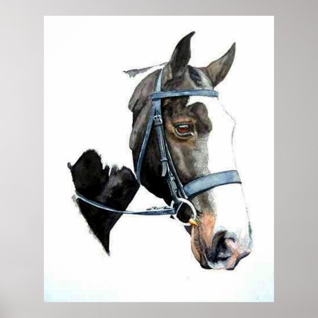 Heavy Hunter Horse Portrait Poster Print (Front)
