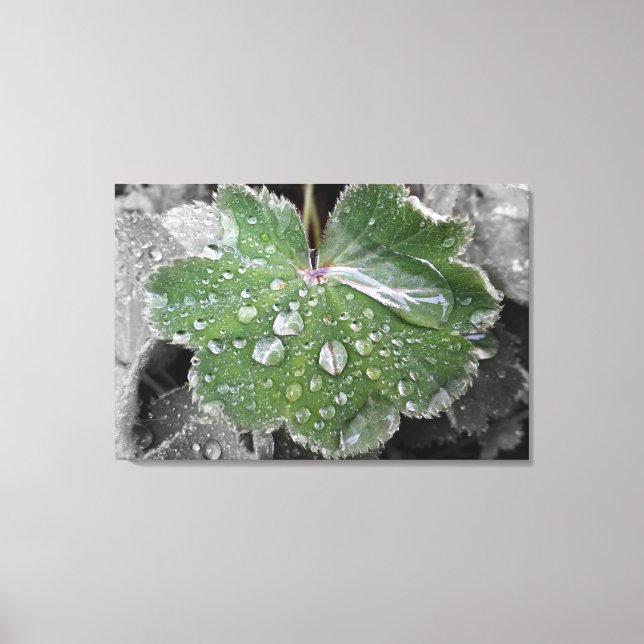 heavy rain canvas print (Front)