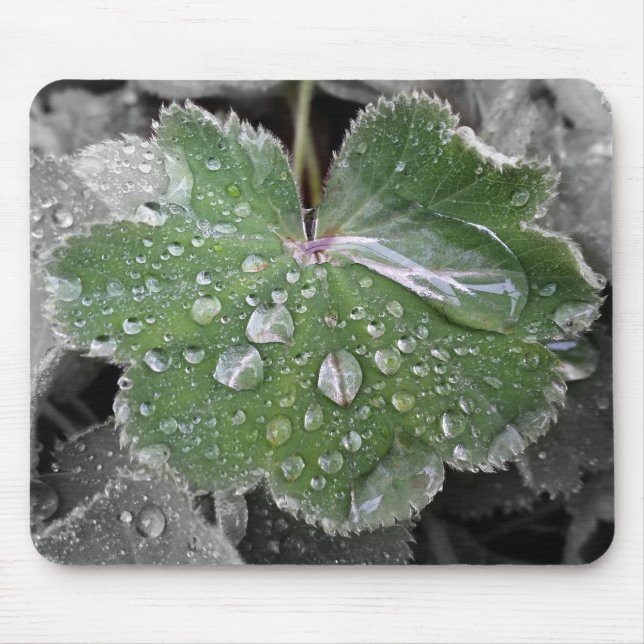 heavy rain mouse pad (Front)