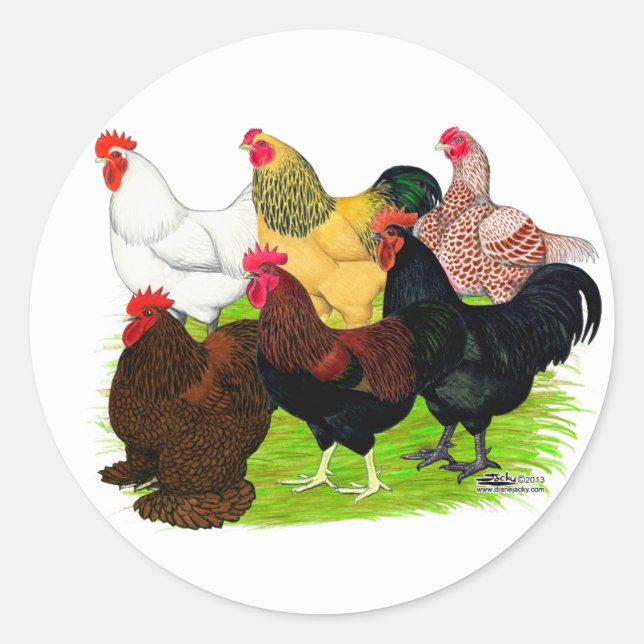 Heavy Rooster Assortment Classic Round Sticker (Front)
