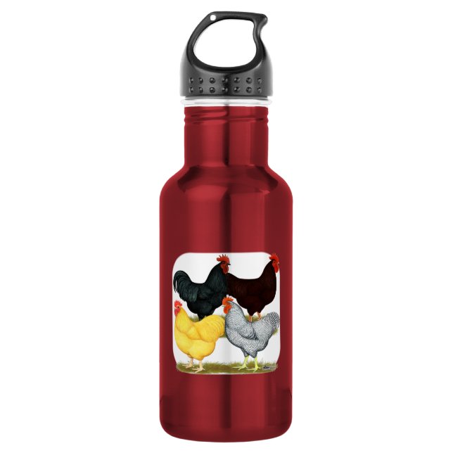 Heavy Rooster Chicken Quartet 532 Ml Water Bottle (Front)