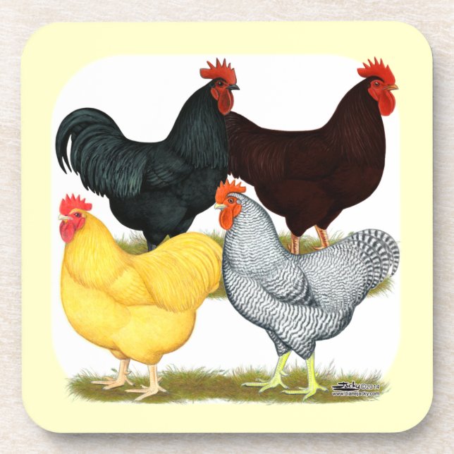 Heavy Rooster Chicken Quartet Coaster (Front)