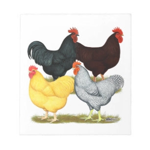 Heavy Rooster Chicken Quartet Notepad