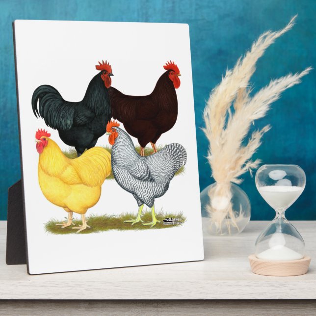 Heavy Rooster Chicken Quartet Plaque (Side)