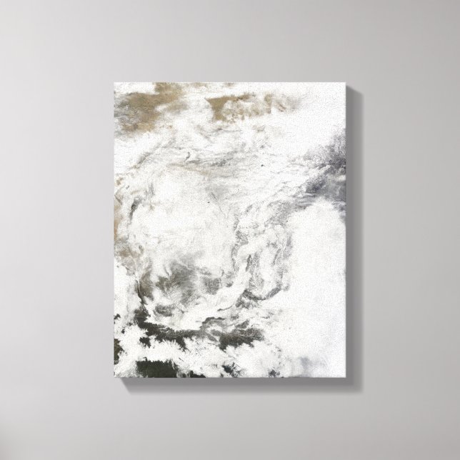 Heavy snowfall in China Canvas Print (Front)