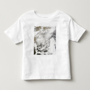 Heavy snowfall in China Toddler T-Shirt