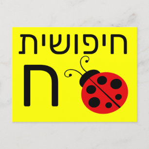 Hebrew ח flash card