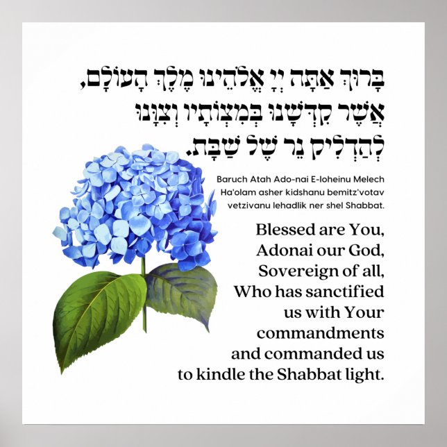 Hebrew Blessing for Shabbat Candles Hydrangea Poster (Front)