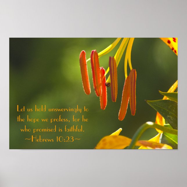 Hebrews 10:23 poster (Front)
