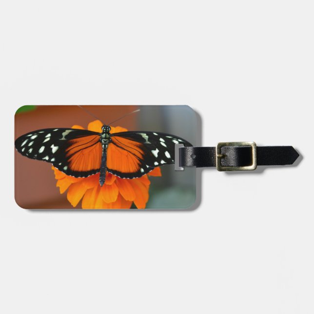 Hecale Longwing Butterfly Luggage Tag (Front Horizontal)