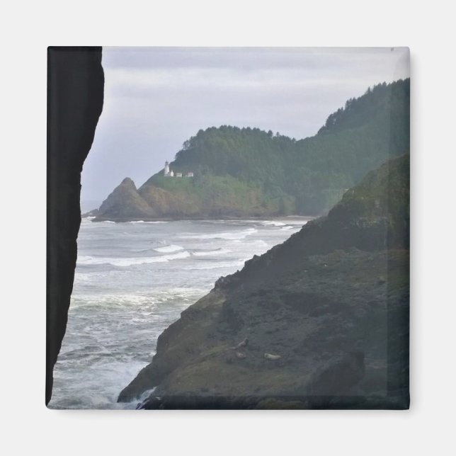 Heceta Head Lighthouse & Sea Lions, OR Magnet (Front)