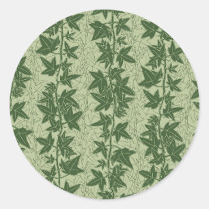 Hedera Ivy Vines - botanical green D_L pattern. Classic Round Sticker