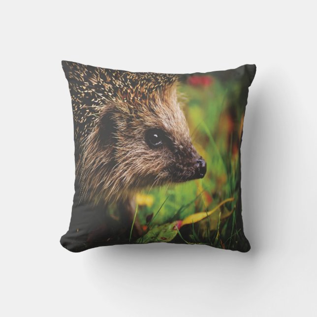 Hedge Hog Animal Pillow (Front)