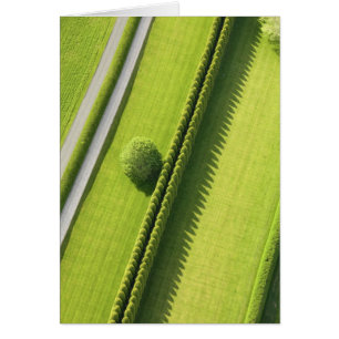 Hedge in The Hamptons