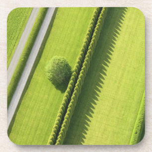 Hedge in The Hamptons Coaster