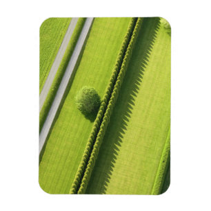 Hedge in The Hamptons Magnet